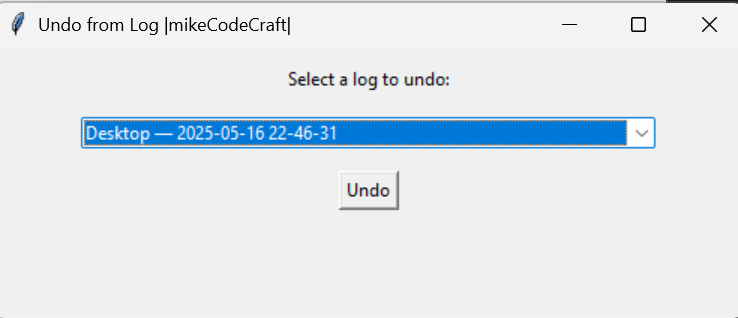 File Organizer Interface